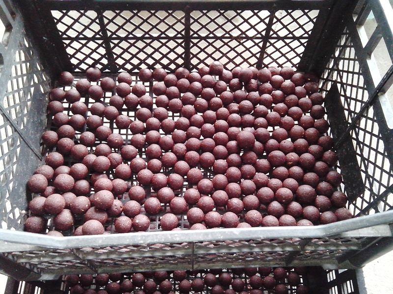 pregatiri pentru sezonul 2014  - img20140405140508.jpg